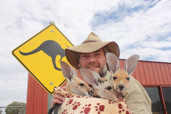 Sanctuary for Orphaned Kangaroos