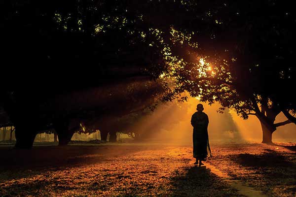 sony photography awards