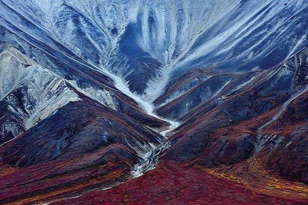 sony photography awards