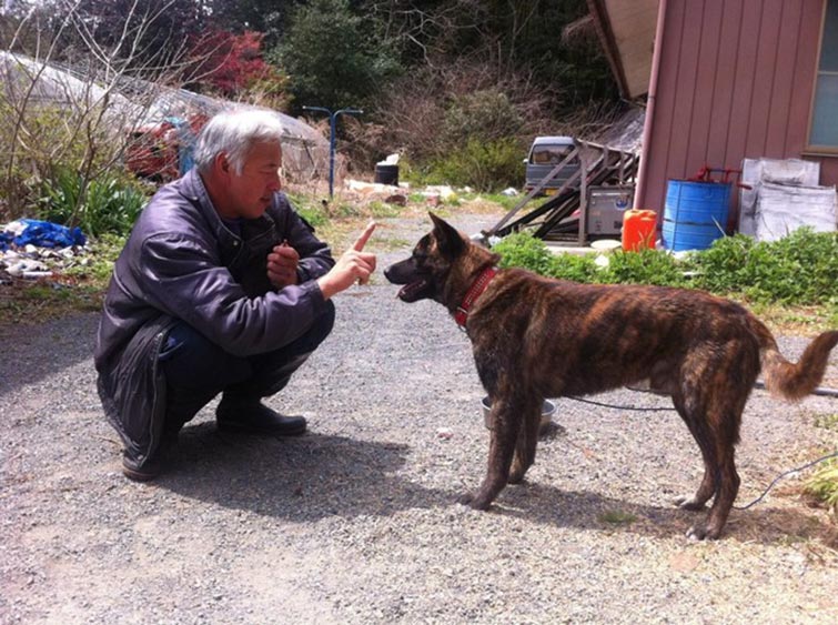 Fukushima Feed Animals
