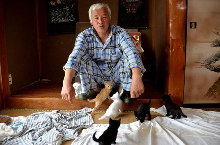 Fukushima Feed Animals