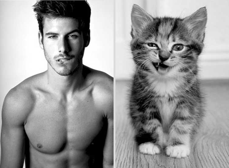 Hot Guys And Kittens