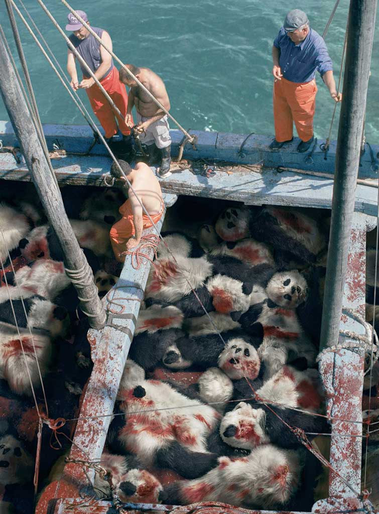 animal ad campaigns