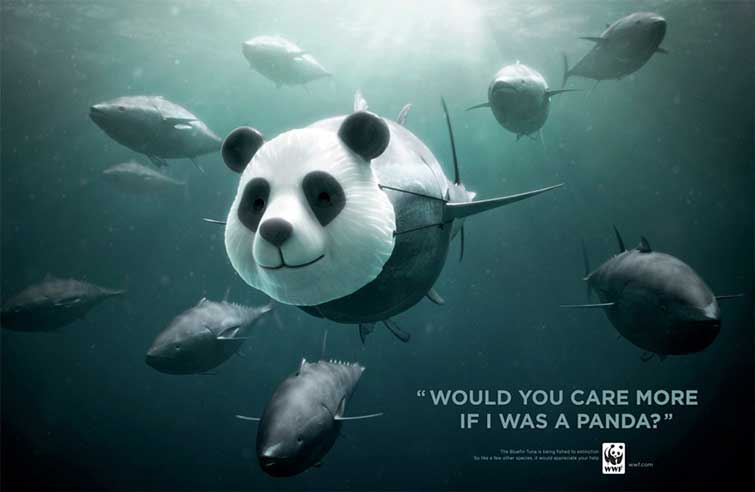 animal ad campaigns