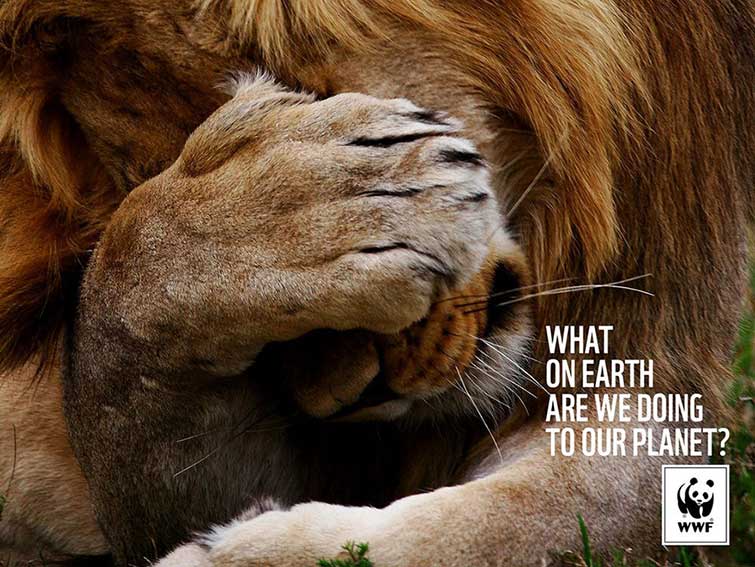 animal ad campaigns