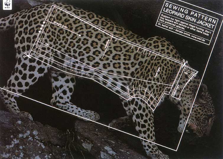 animal ad campaigns