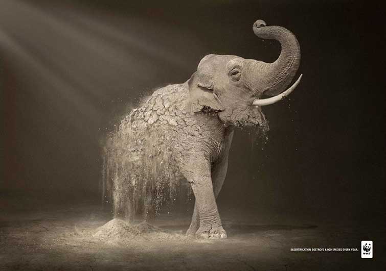 animal ad campaigns
