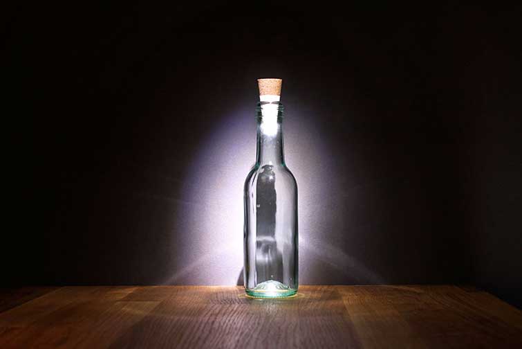 bottle lamb