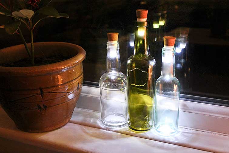 bottle lamb
