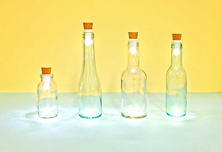 bottle lamb