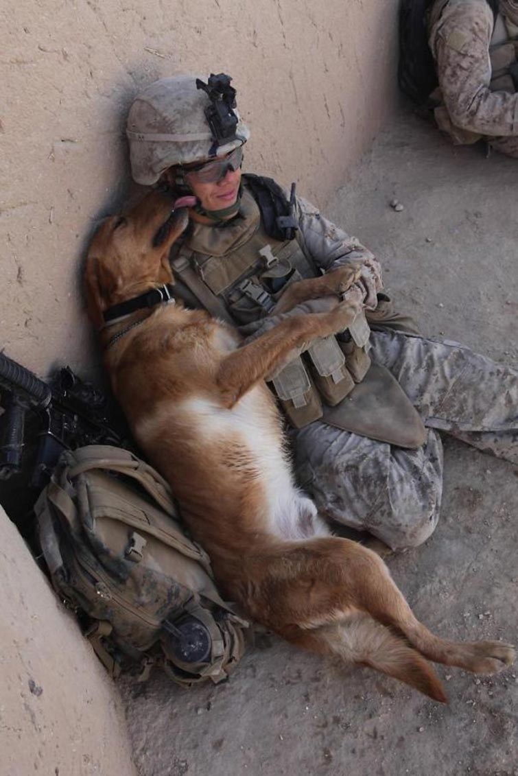 Soldiers And Pets