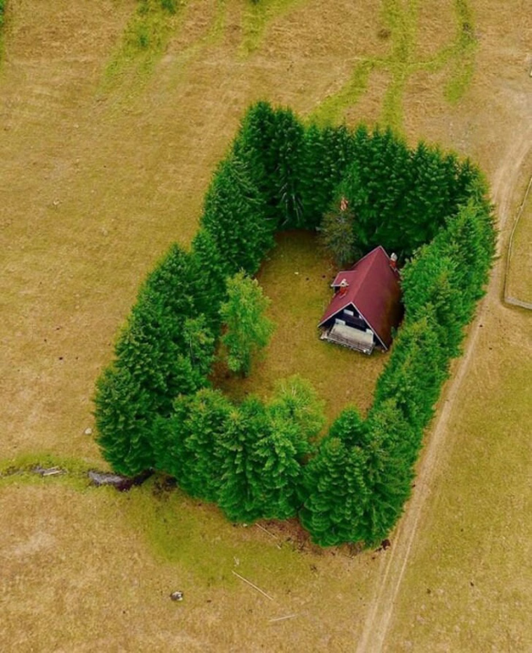 isolated house
