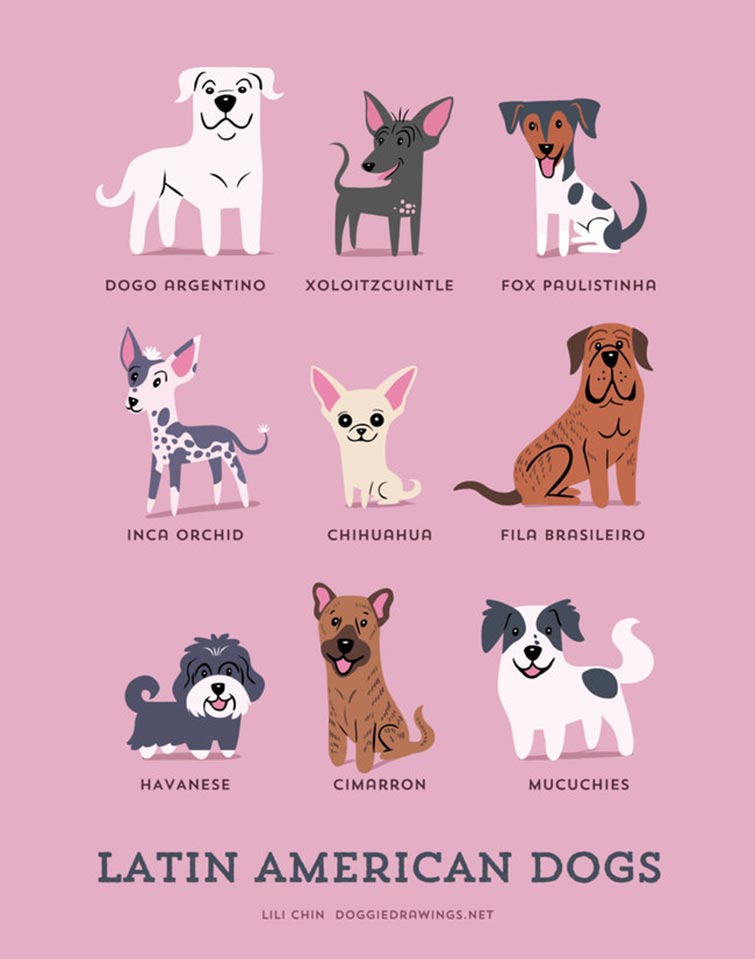 Dogs Geographic Origin Guide