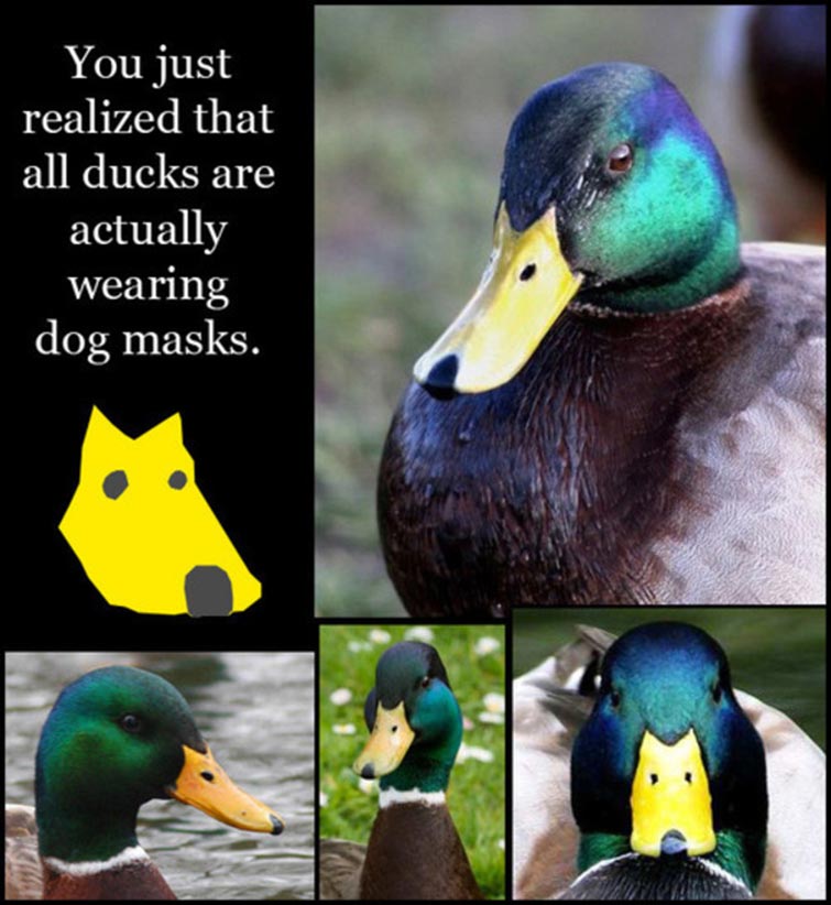 Never Be Unseen Again