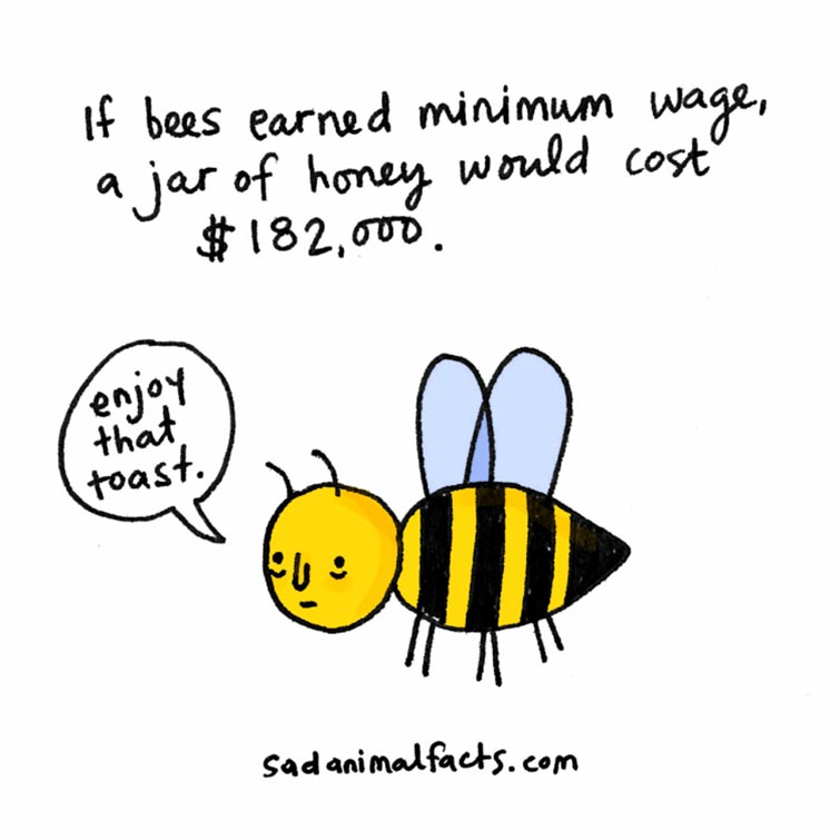 Sad Animal Facts