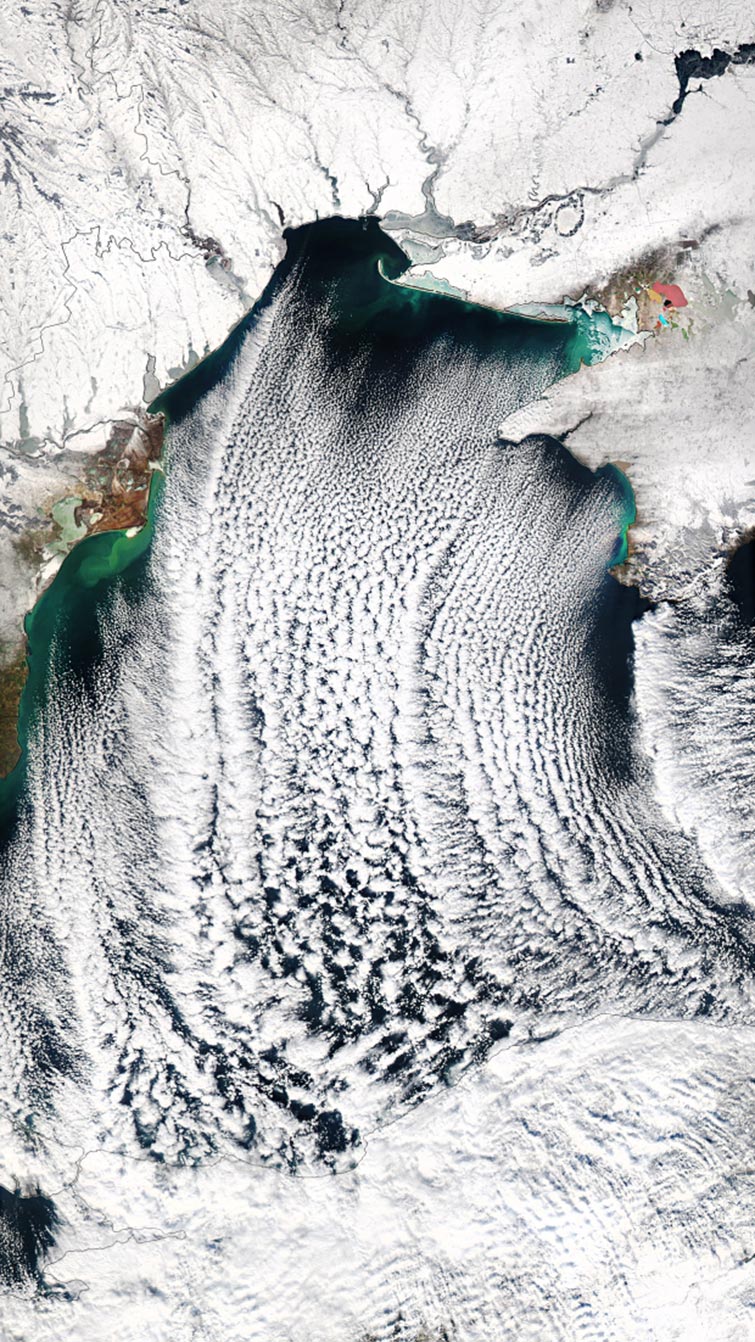 Satellite Image-Themed iPhone