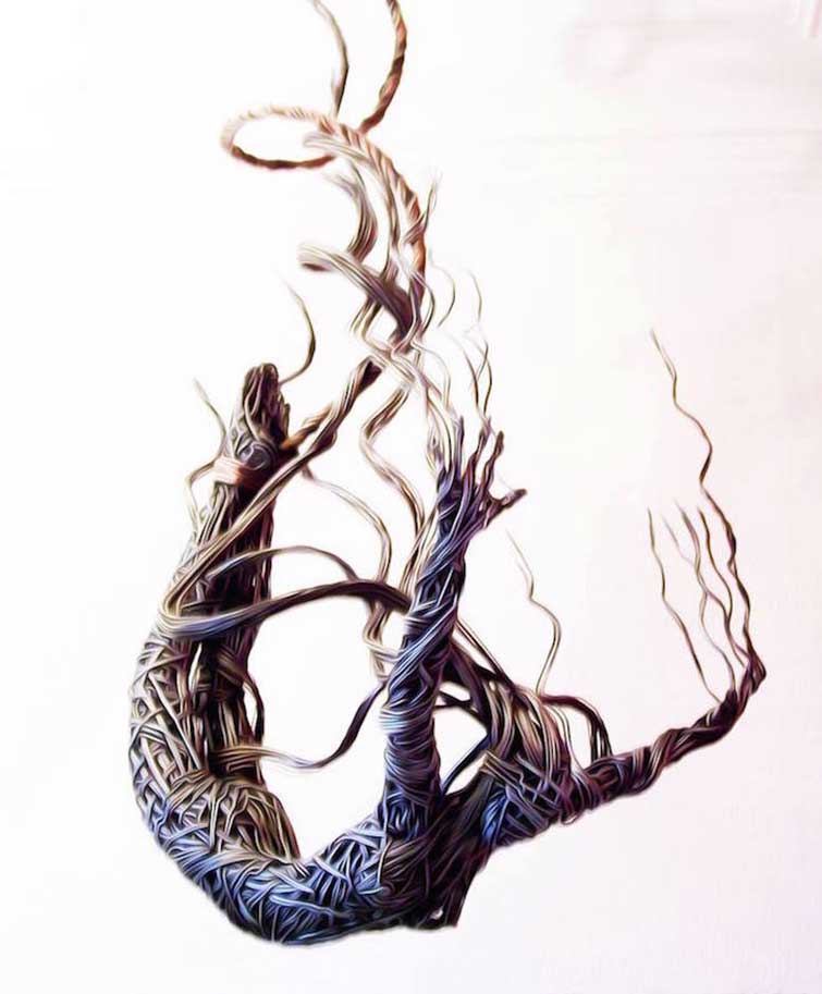 Breathtaking Wire Sculptures