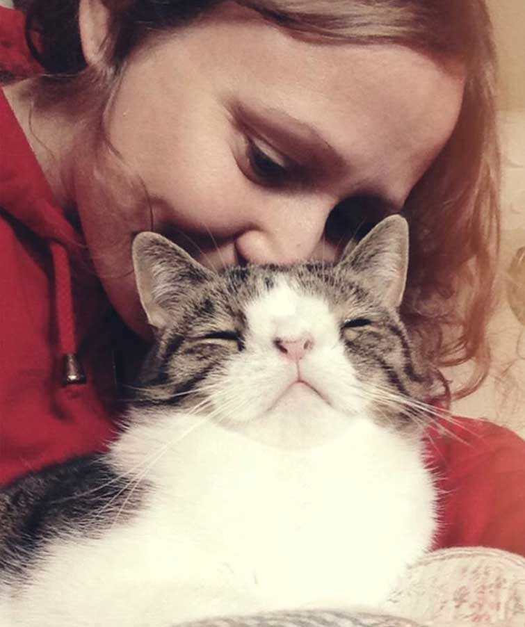 cat without nosal bone