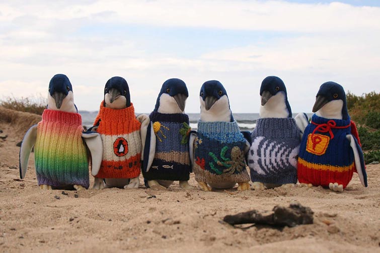 old man penguin sweaters