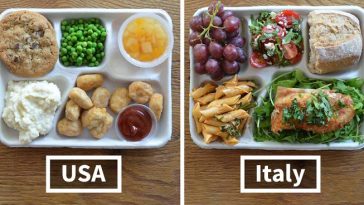 school lunches around the world