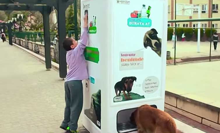 stray-dog-food-vending-machine-recycling-pugedon-2
