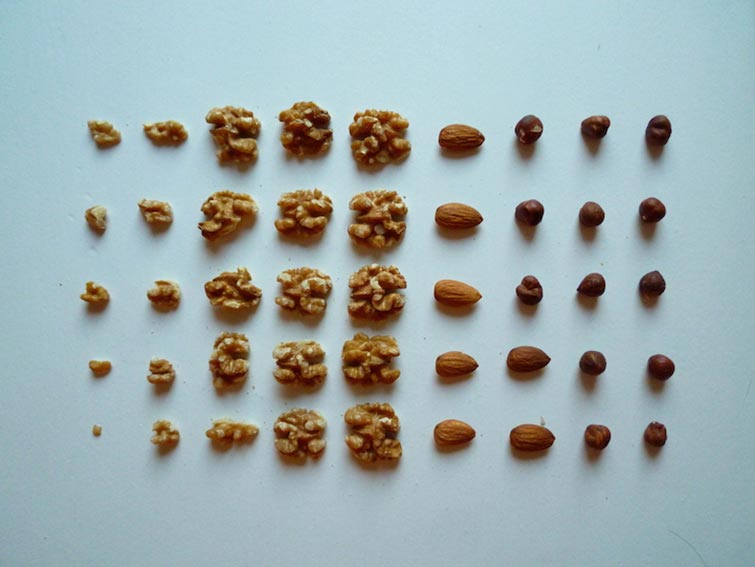Things Organized Neatly