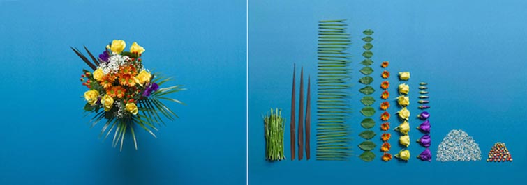 Things Organized Neatly