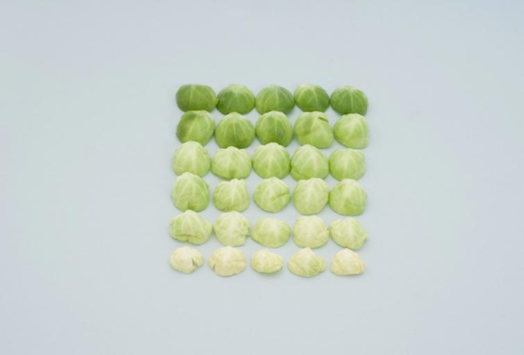 Things Organized Neatly