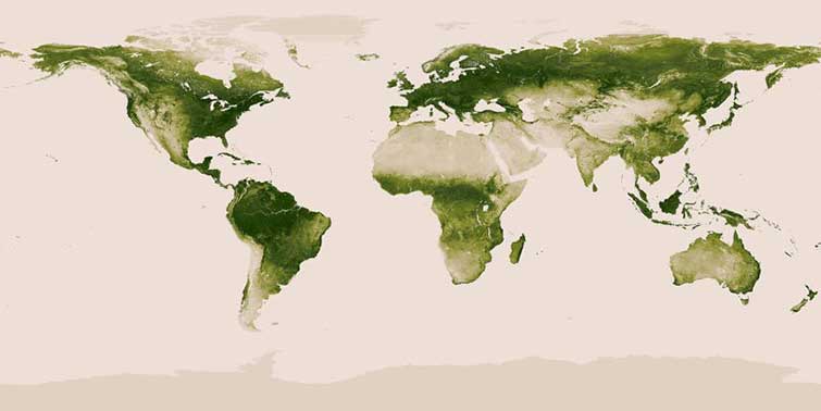 Maps