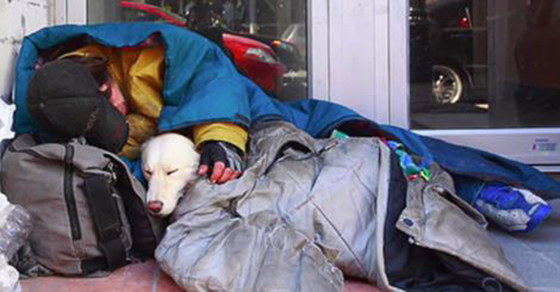 homeless people pets