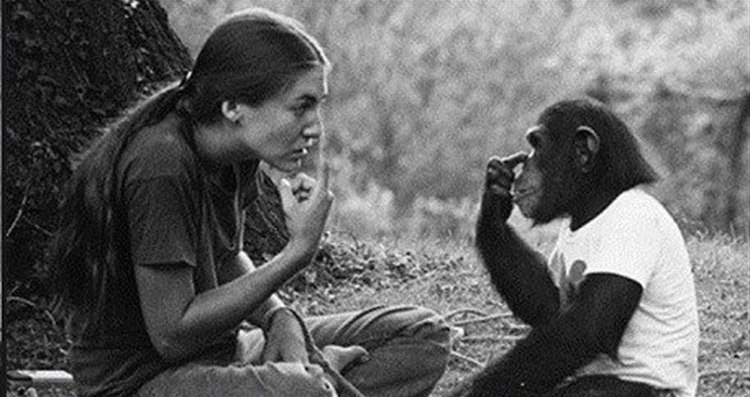 Animals Capabilities