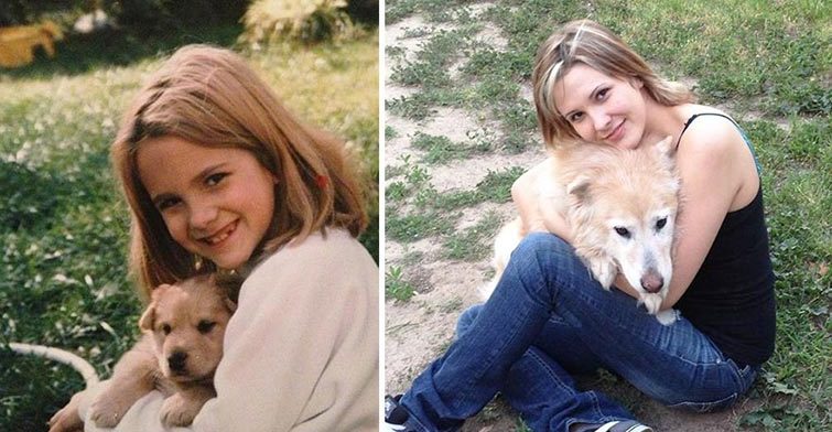 dogs before and after