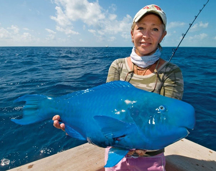 Blue Parrotfish