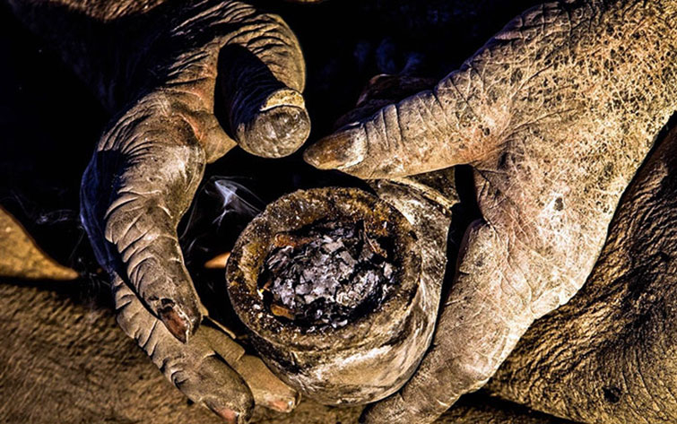 Iranian Man hasn't bathed