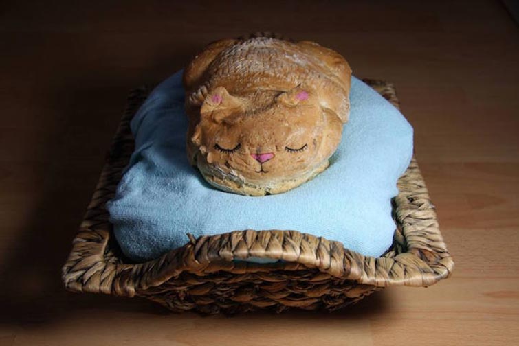 catloaf bread