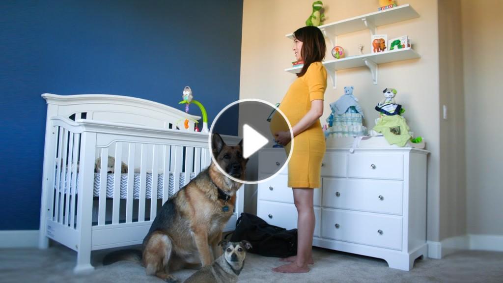 dad videos wifes entire pregnancy