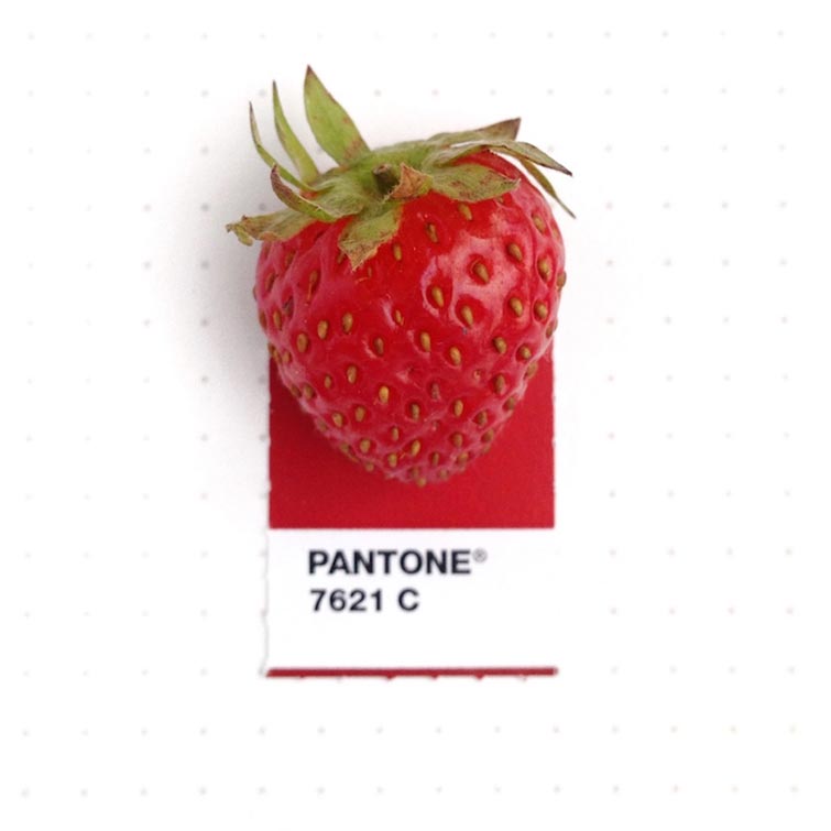 Pantone Swatches