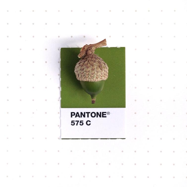 Pantone Swatches
