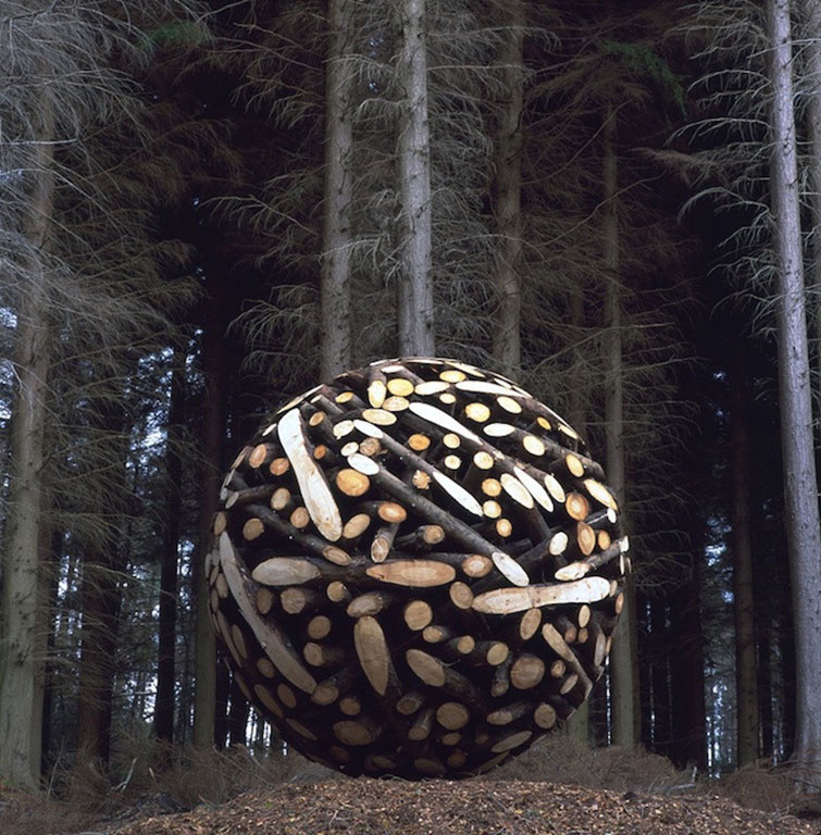 Old Tree Trunks art