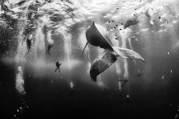 Winners From 2015 National Geographic Traveler Photo Contest