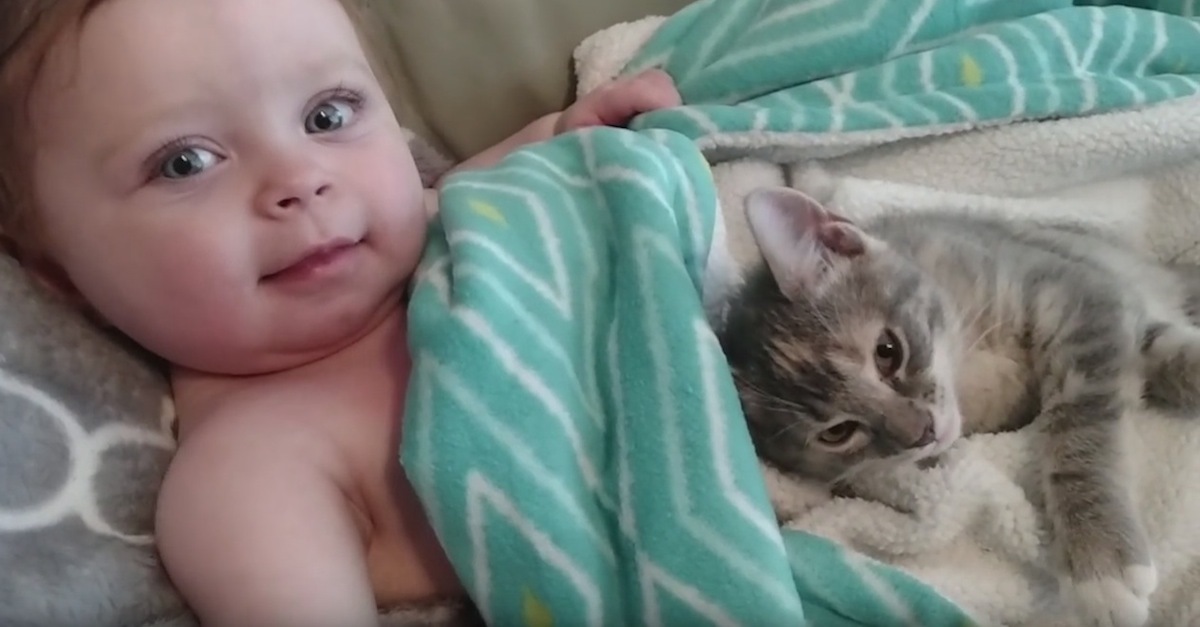 baby and tiny kitten