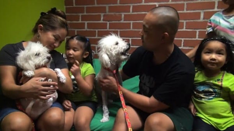 Two Poodles Struggled To Survive In The Sewer For Weeks This Is Their Incredible Rescue