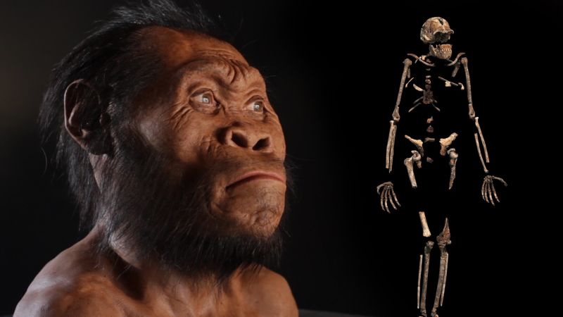 new human Discovered