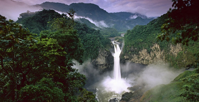 norway amazon rainforests