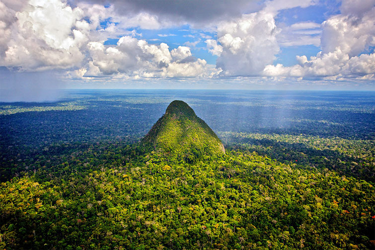 norway amazon rainforests