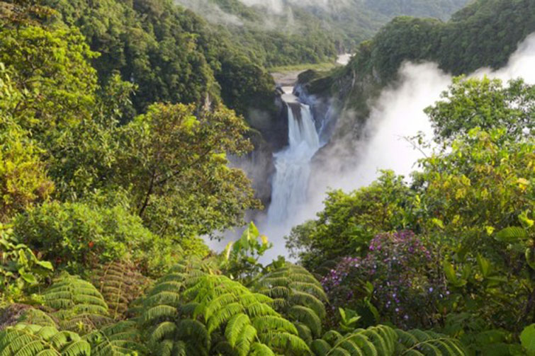 norway amazon rainforests
