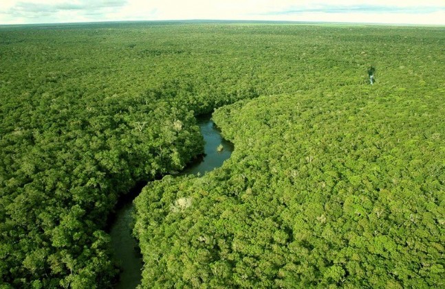 norway amazon rainforests