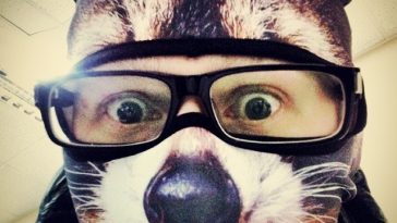 Animal Ski Masks By Teya Salat