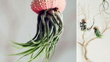Creative Planter Designs Ever