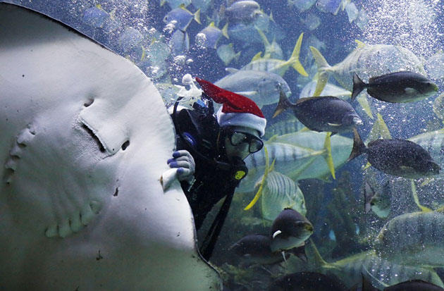 Most Powerful Photos Of The Week